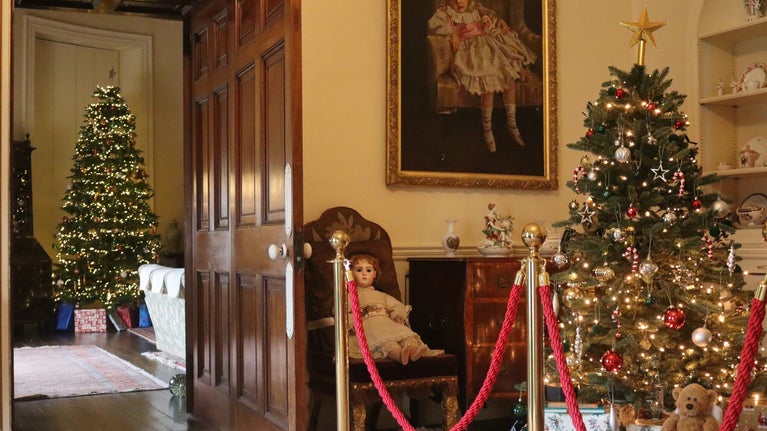 Decorated Christmas trees with lights in two rooms